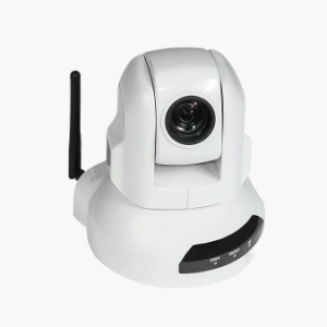 IP Cameras